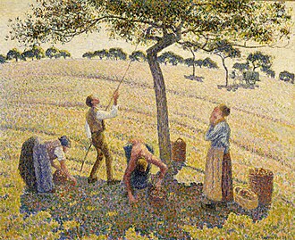 apple picking