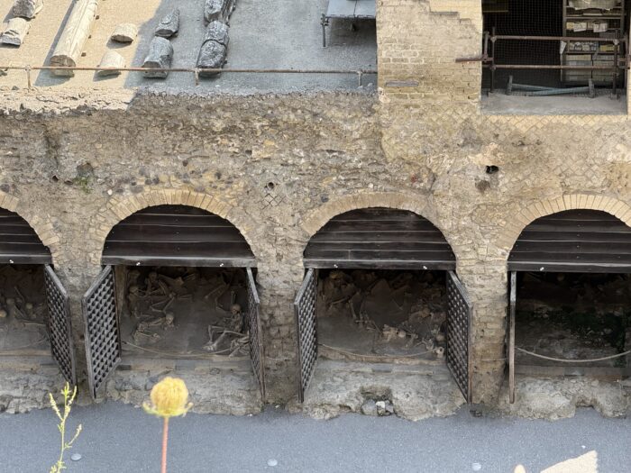skeletons in boat houses