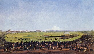 The horse race